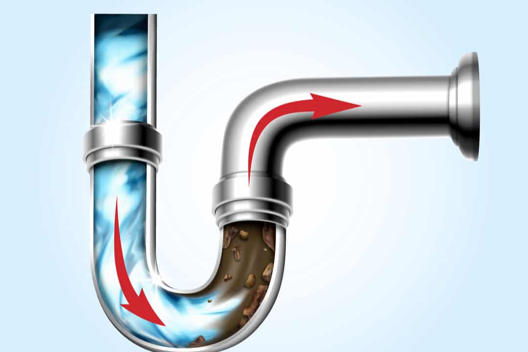 Can A Toilet And Shower Share The Same Drain? Homely Baron