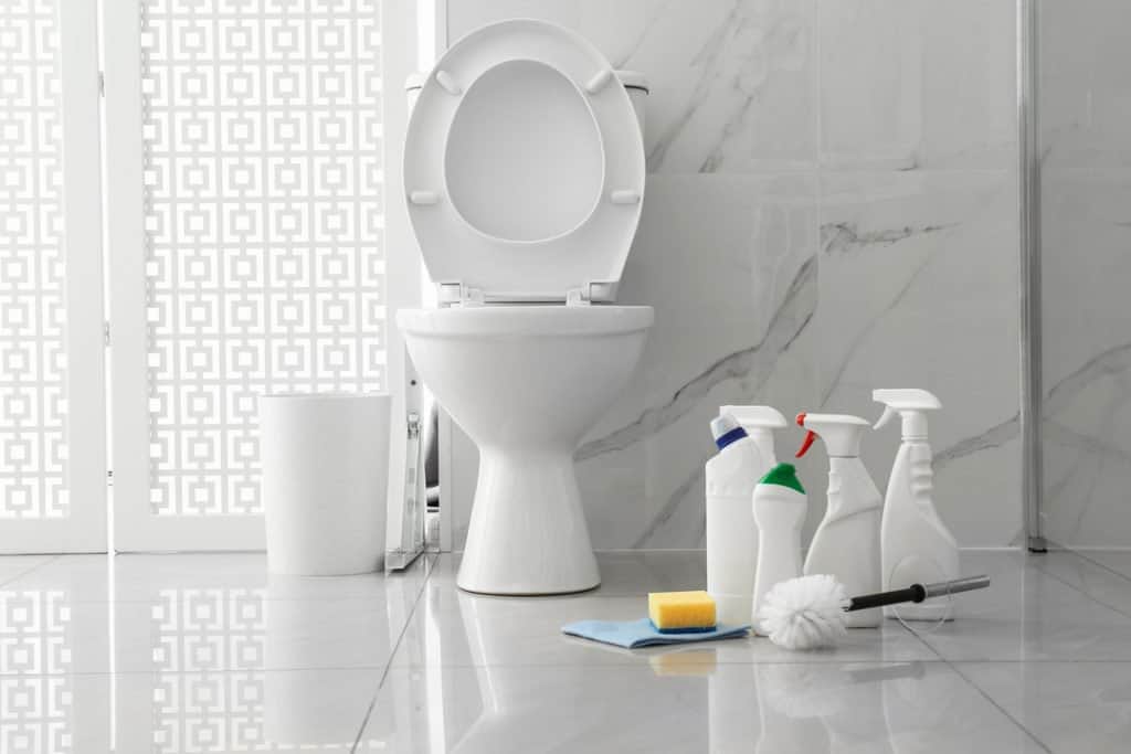 cleaning supplies for toilet