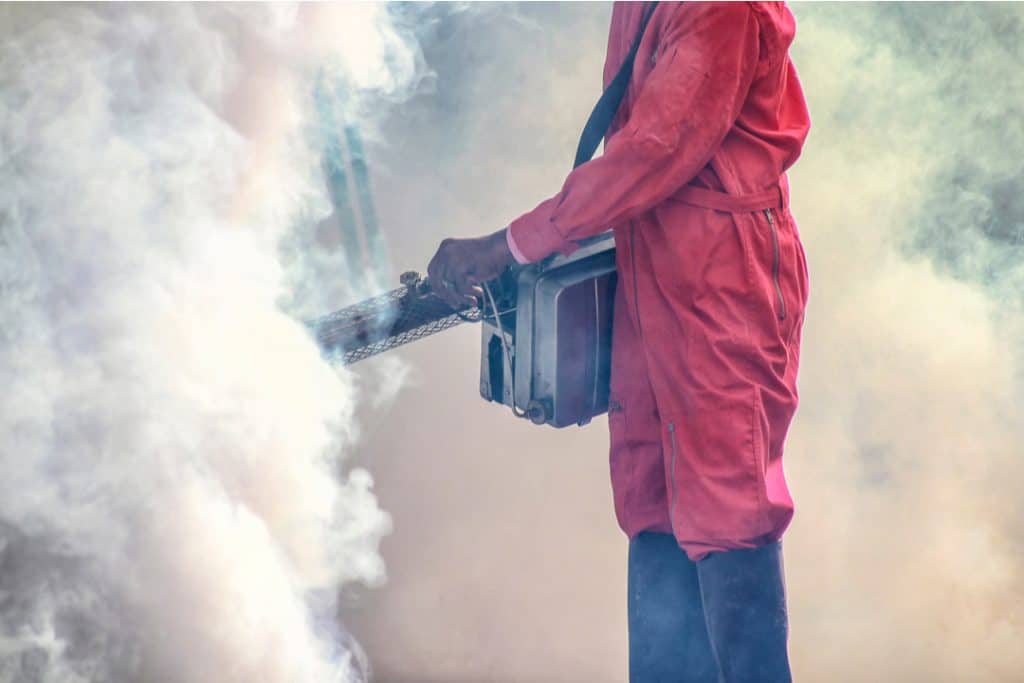 how long should you stay out of house after fumigation