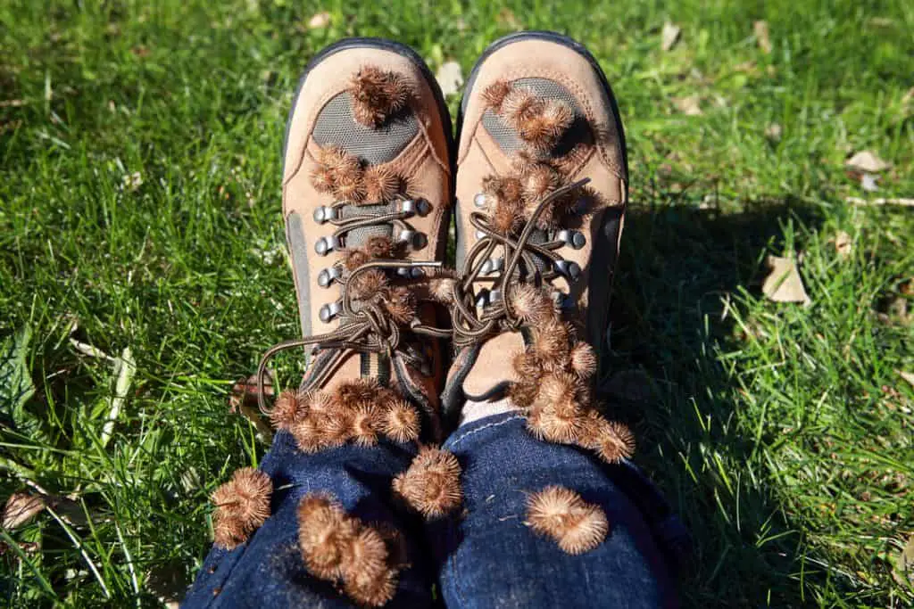 how to remove burrs from boots
