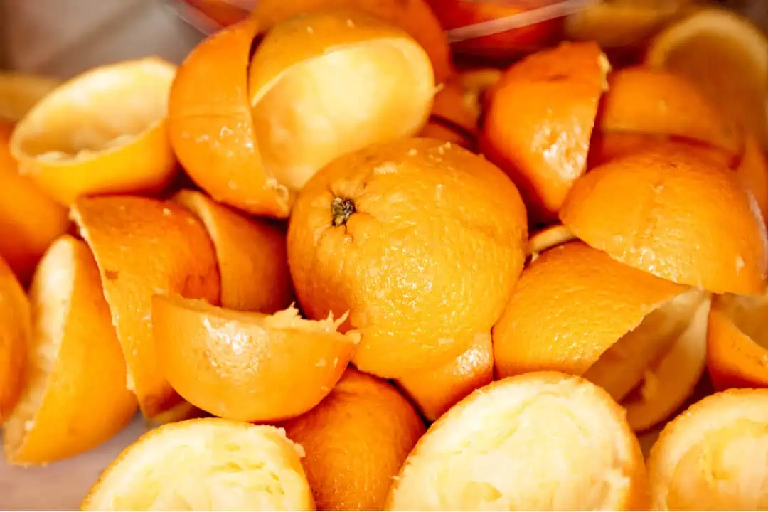 Can You Put Orange Peels In The Garbage Disposal Homely Baron