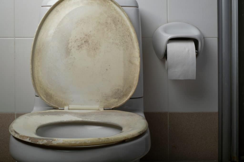 toilet seat turned yellow after bleaching
