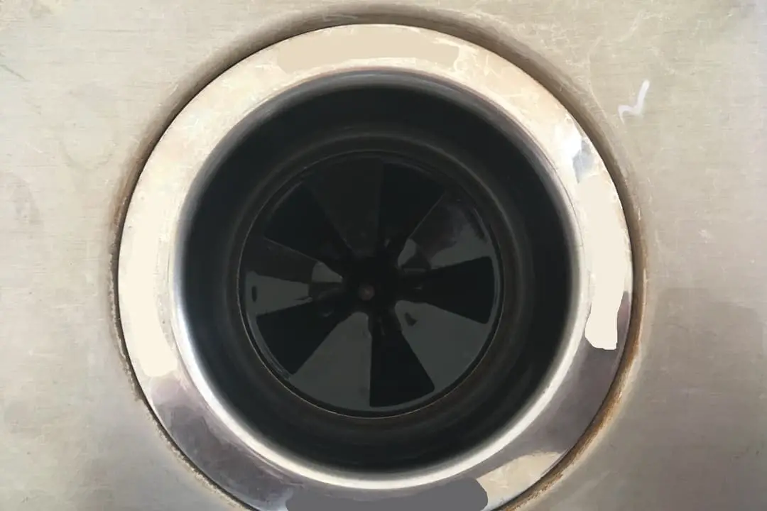 Can You Put Orange Peels In The Garbage Disposal Homely Baron