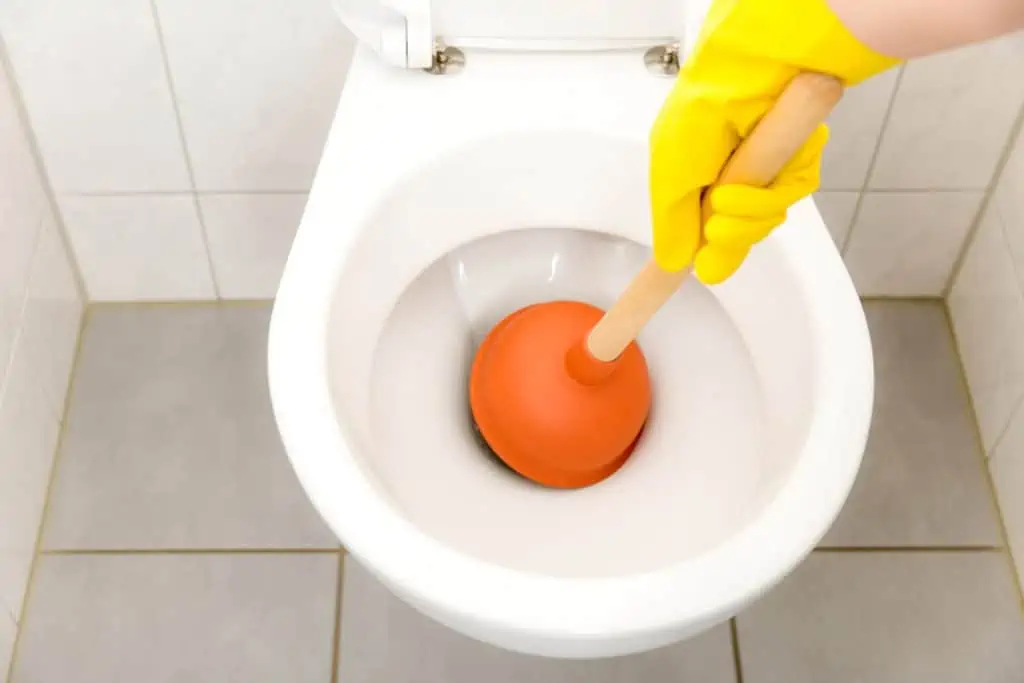 using a plunger in the toilet
