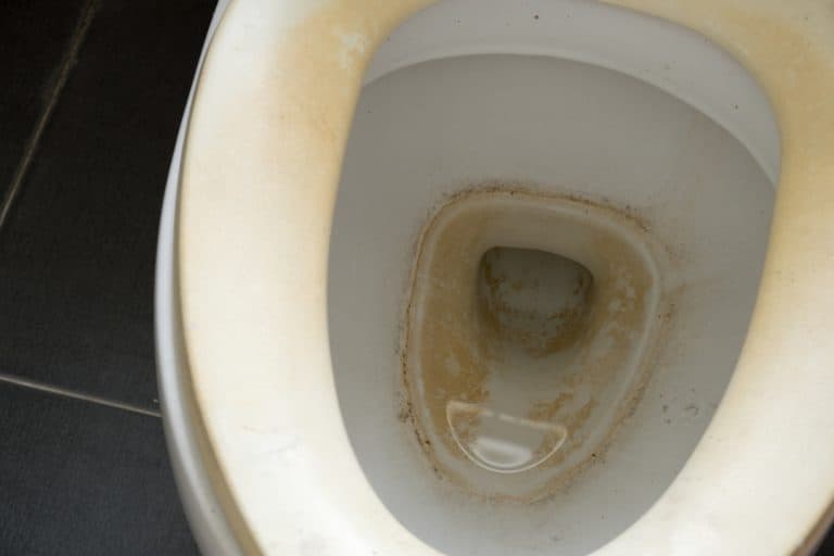 What Causes Yellow Stains On Toilet Seat Homely Baron