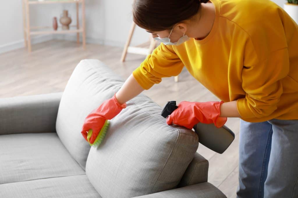 woman cleaning couch after mice