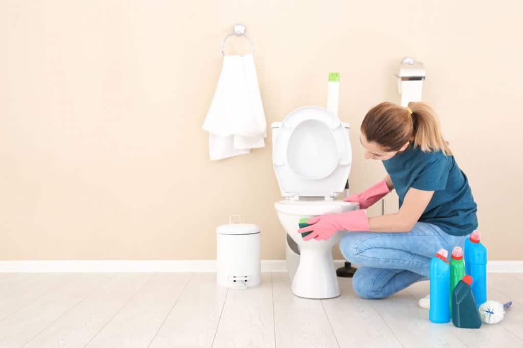 woman cleaning toilet seat