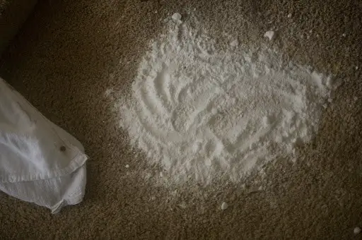 The-Best-Ways-to-Get-Baking-Soda-Out-of-Carpet