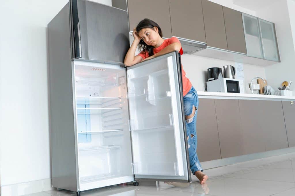how long should a fridge take to cool