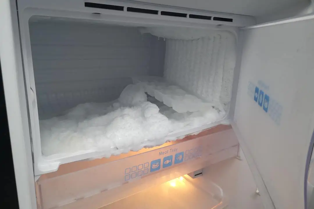 How Long Should A Fridge Take to Cool Homely Baron