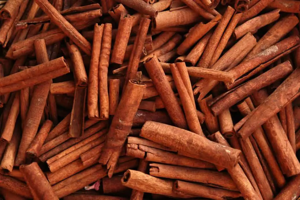 can you grind cinnamon sticks