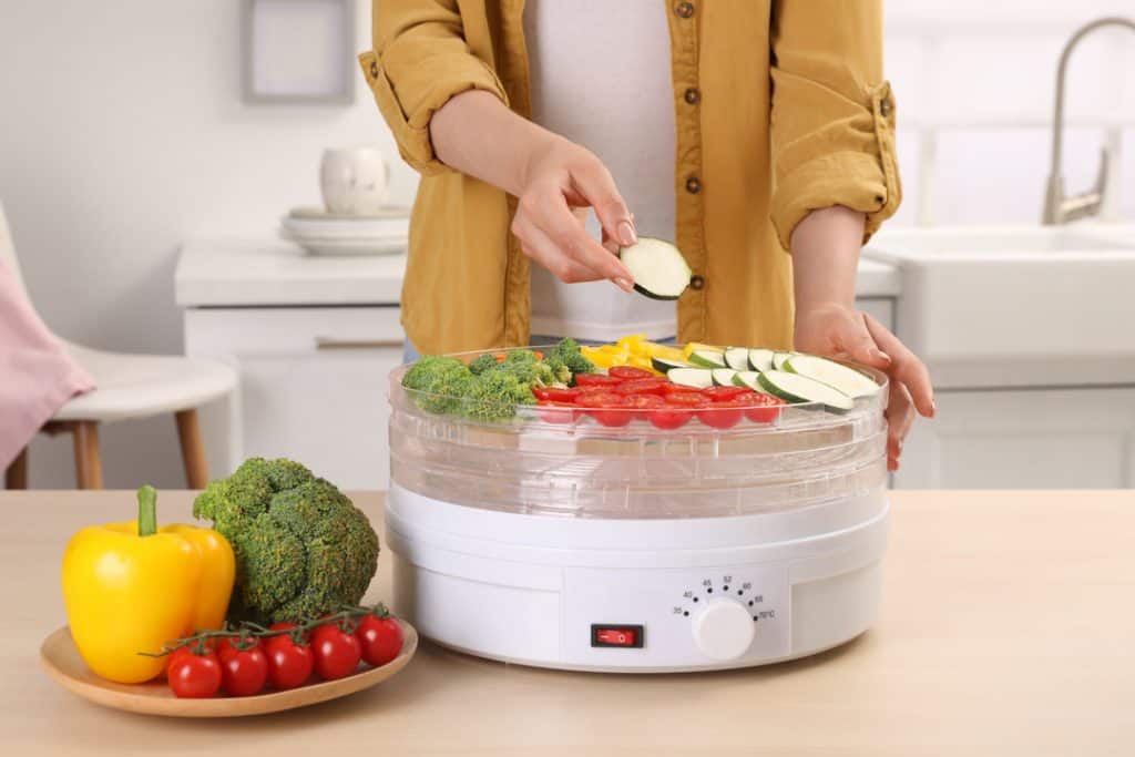 can you leave a food dehydrator on overnight