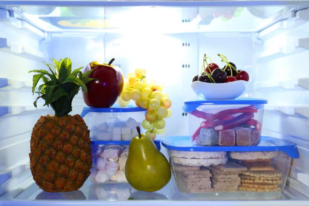 fridge with working light
